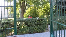 mecz nr 64/2016, 28 sierpnia 2016